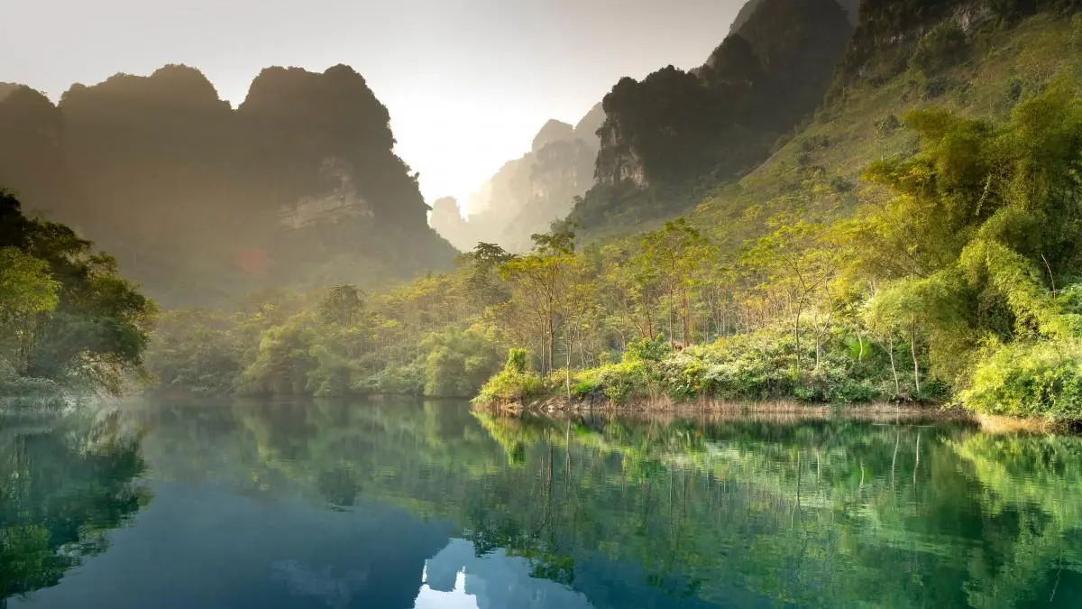 高质量高效先进